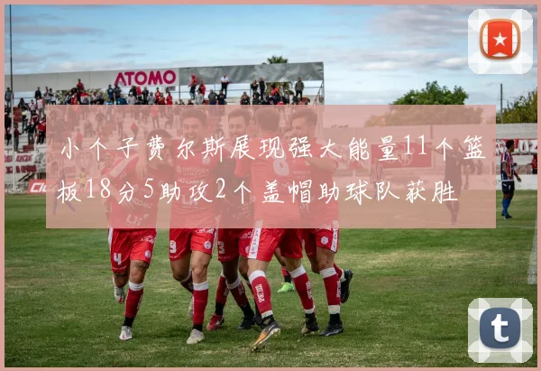 小个子费尔斯展现强大能量11个篮板18分5助攻2个盖帽助球队获胜