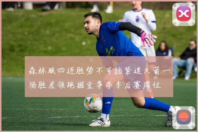 森林狼四连胜势不可挡紧追火箭一场胜差领跑掘金争夺季后赛席位